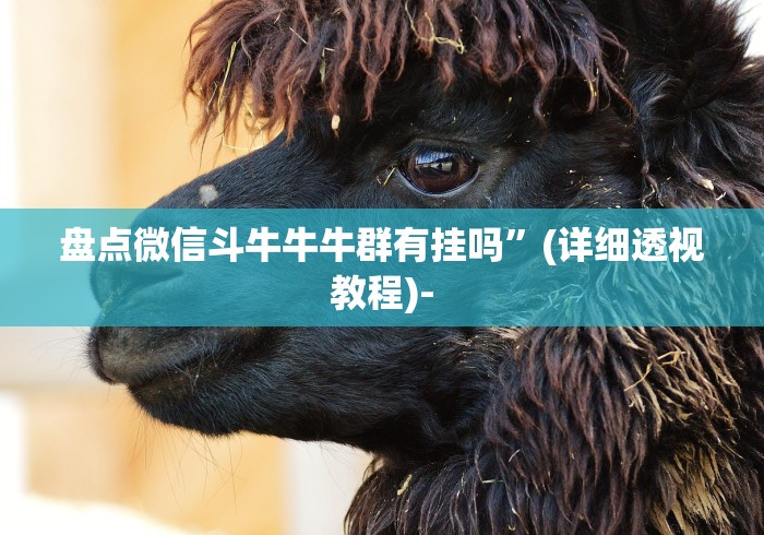 开挂辅助工具“微信斗牛有没有开挂	”原来可以开挂