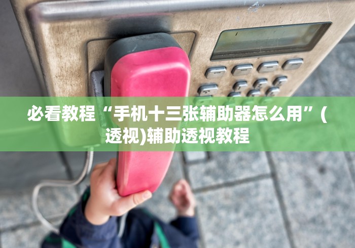 必看教程“手机十三张辅助器怎么用”(透视)辅助透视教程