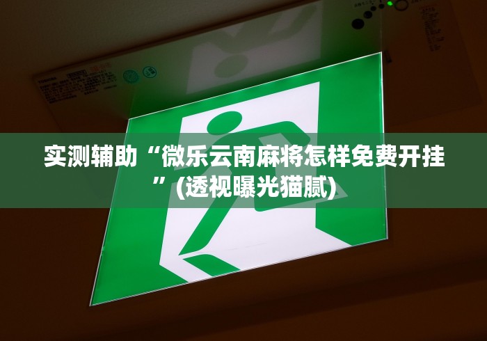 实测辅助“微乐云南麻将怎样免费开挂”(透视曝光猫腻)