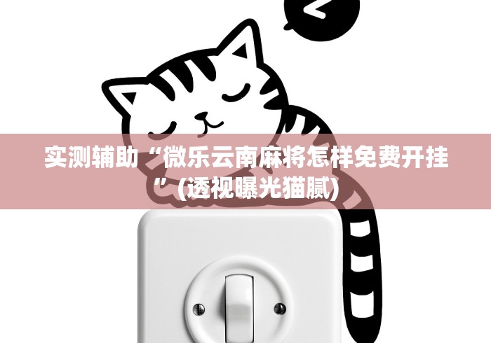 实测辅助“微乐云南麻将怎样免费开挂”(透视曝光猫腻)
