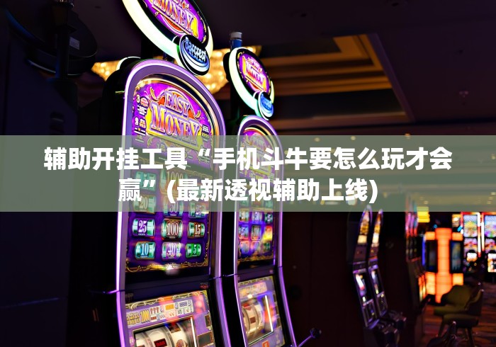 辅助开挂工具“手机斗牛要怎么玩才会赢”(最新透视辅助上线)