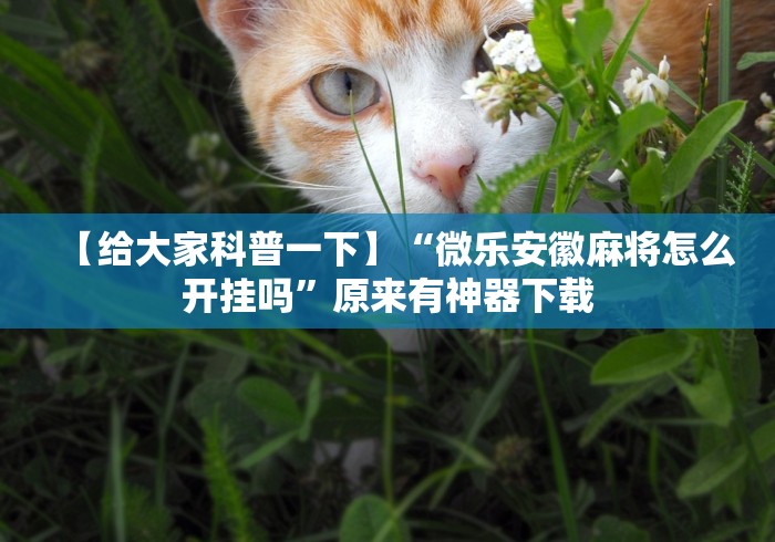 最新引进“微乐有挂机吗最新辅助详细教程 最新引进“微乐有挂机吗最新辅助详细教程