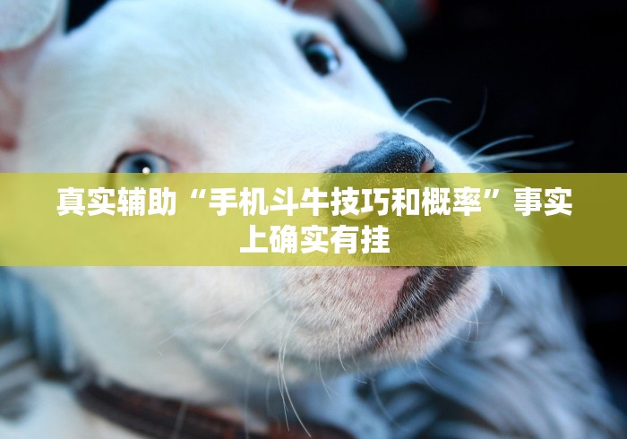 真实辅助“手机斗牛技巧和概率”事实上确实有挂