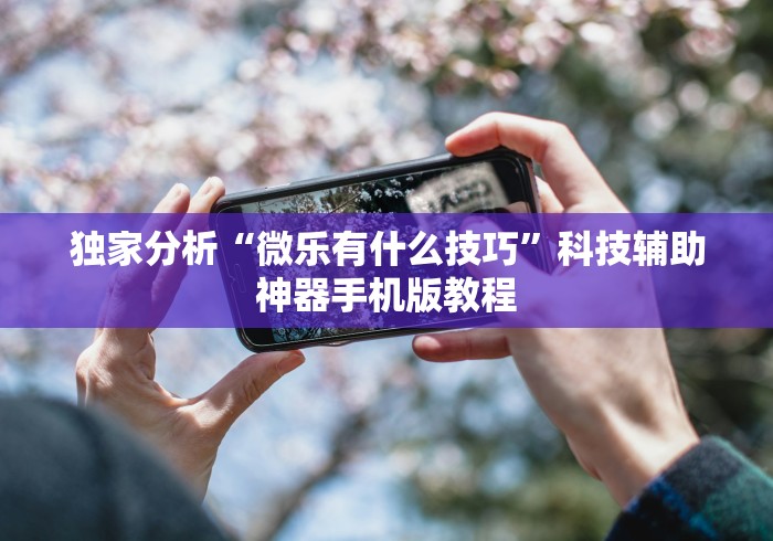 独家分析“微乐有什么技巧”科技辅助神器手机版教程