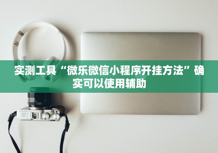 终于懂了“微乐麻将开挂是什么意思”详细辅助透视