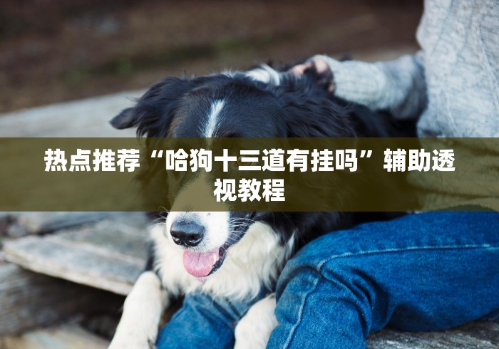 热点推荐“哈狗十三道有挂吗”辅助透视教程