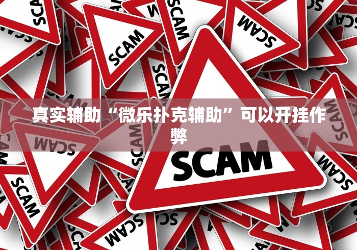 真实辅助“微乐扑克辅助”可以开挂作弊