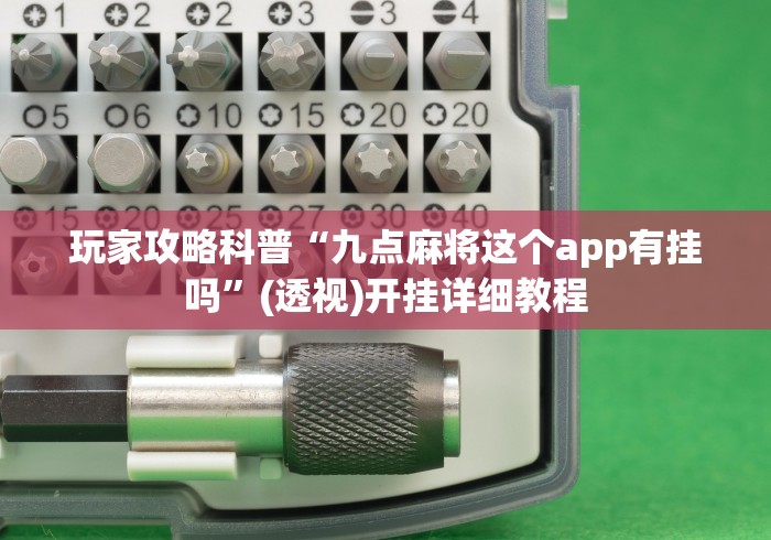 玩家攻略科普“九点麻将这个app有挂吗	”(透视)开挂详细教程