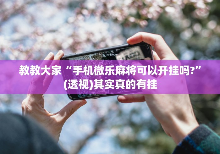 教教大家“手机微乐麻将可以开挂吗?”(透视)其实真的有挂