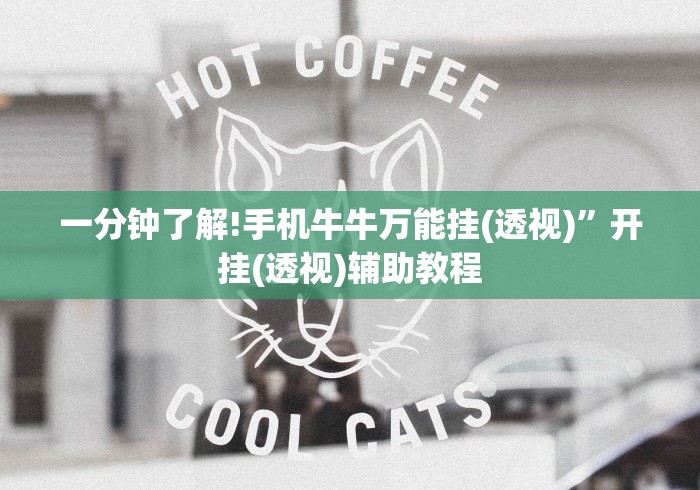 【揭秘一下】“新人皇有挂吗”开挂辅助脚本+详细开挂安装教程