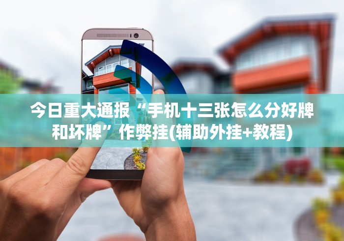 助赢神器“微乐捉鸡麻将技巧”原来有神器下载！