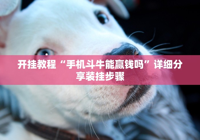 开挂教程“手机斗牛能赢钱吗	”详细分享装挂步骤