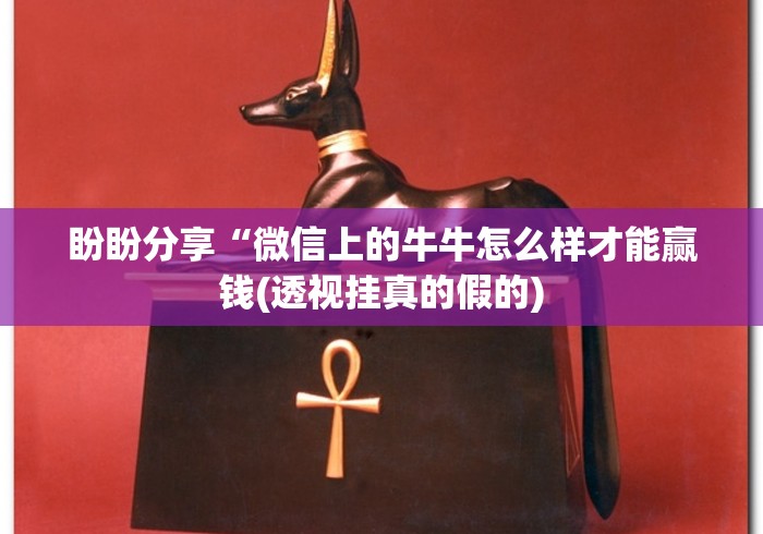 推荐辅助使用‘手游斗地主透视”(透视)开挂详细教程