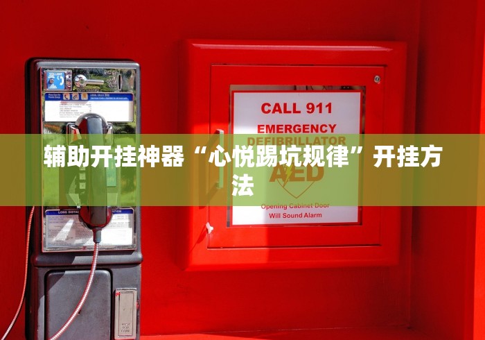 助赢神器“微乐捉鸡麻将技巧	”原来有神器下载！