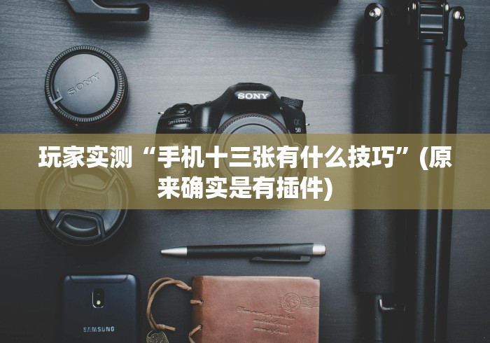 玩家实测“手机十三张有什么技巧	”(原来确实是有插件)