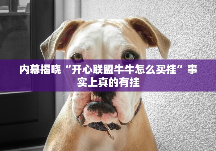内幕揭晓“开心联盟牛牛怎么买挂”事实上真的有挂