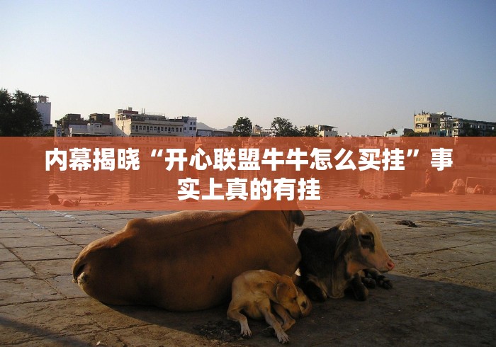 内幕揭晓“开心联盟牛牛怎么买挂”事实上真的有挂
