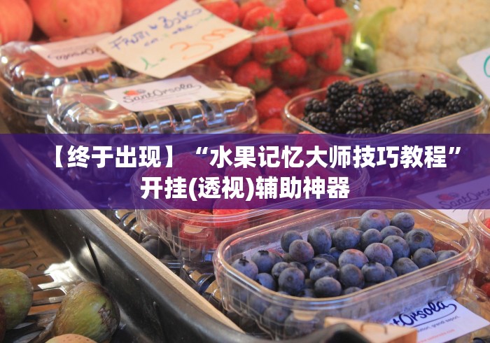 【终于出现】“水果记忆大师技巧教程”开挂(透视)辅助神器