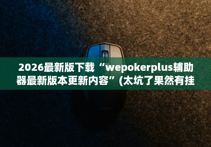 2026最新版下载“wepokerplus辅助器最新版本更新内容”(太坑了果然有挂)