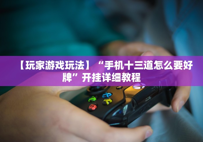 【玩家游戏玩法】“手机十三道怎么要好牌”开挂详细教程