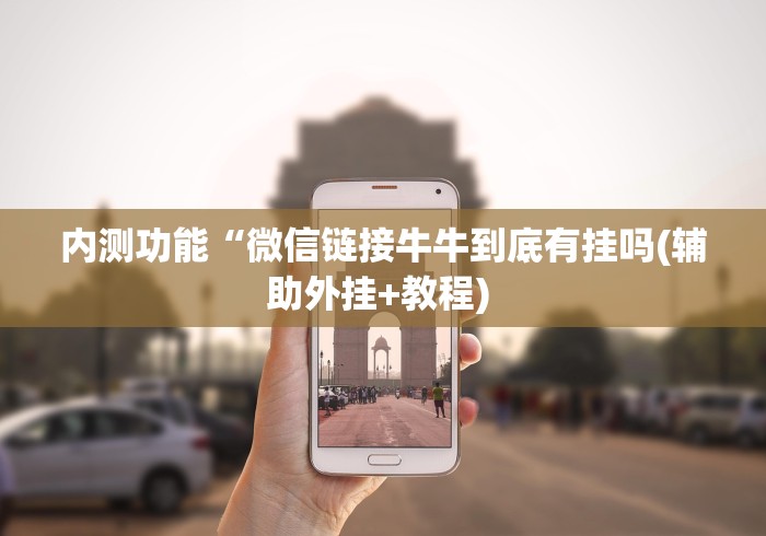 全网解答|“微乐干瞪眼小程序辅助器”作弊挂(辅助外挂+教程)
