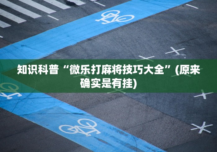 知识科普“微乐打麻将技巧大全”(原来确实是有挂)