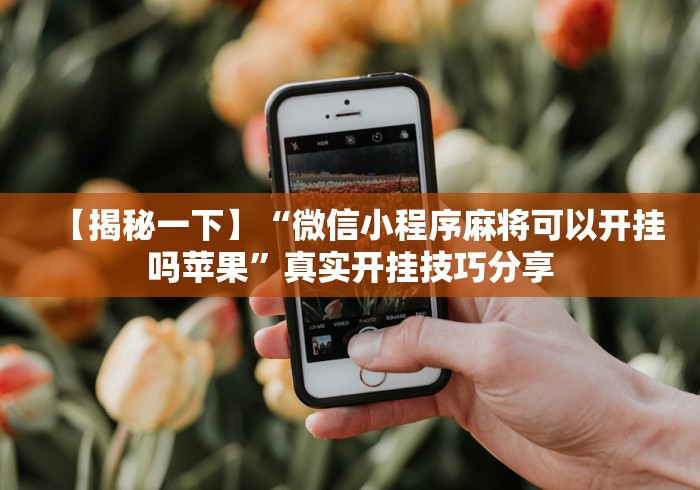【揭秘一下】“微信小程序麻将可以开挂吗苹果”真实开挂技巧分享