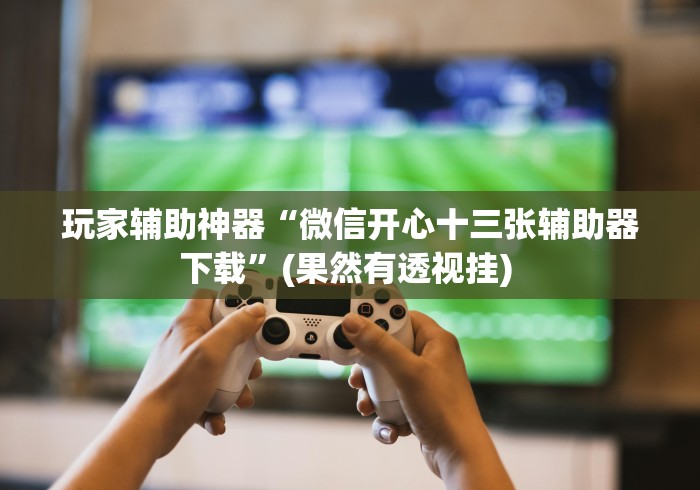 玩家辅助神器“微信开心十三张辅助器下载”(果然有透视挂) 