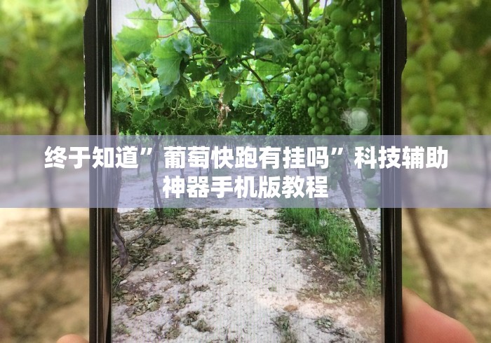 玩家最新攻略“微乐窝龙有没有赢牌的技巧”(必备工具)辅助教学
