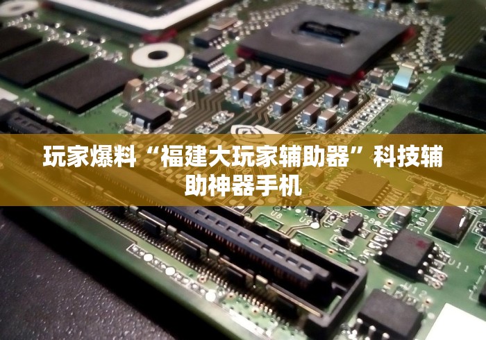 玩家爆料“福建大玩家辅助器	”科技辅助神器手机