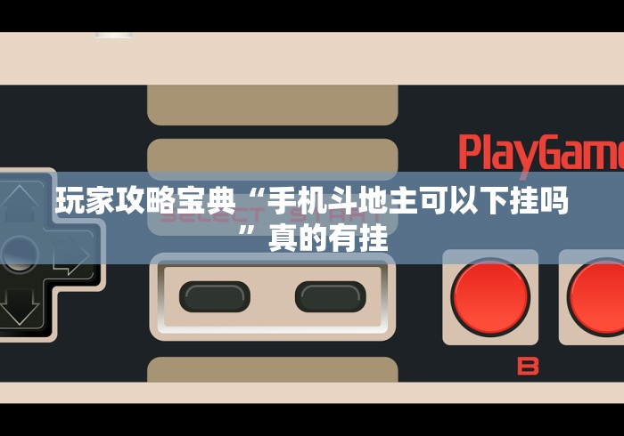 玩家攻略宝典“手机斗地主可以下挂吗”真的有挂