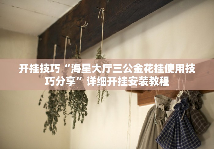 开挂技巧“海星大厅三公金花挂使用技巧分享”详细开挂安装教程