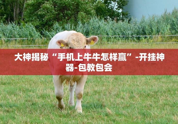 大神揭秘“手机上牛牛怎样赢	”-开挂神器-包教包会
