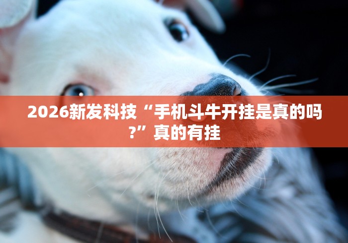 2026新发科技“手机斗牛开挂是真的吗?	”真的有挂