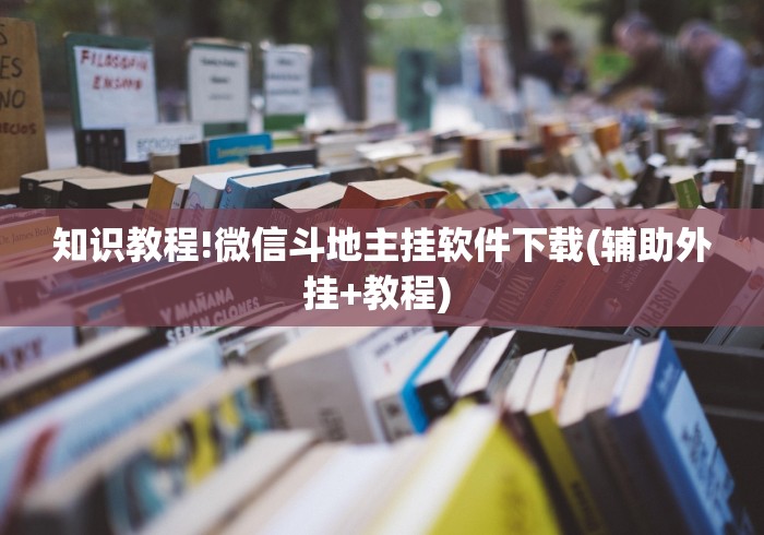 2026首发辅助“打红中麻将老是输钱要怎样才能赢”(透视)开挂详细教程