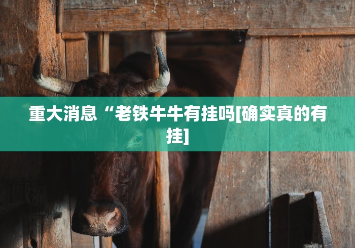 最新教程“微乐麻将挂试用一天”开挂安装教程