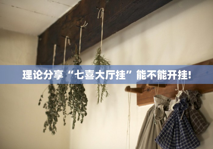 理论分享“七喜大厅挂”能不能开挂!