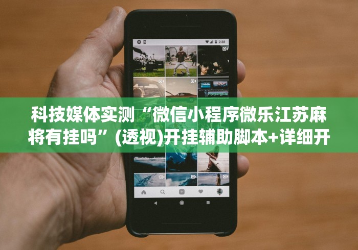 科技媒体实测“微信小程序微乐江苏麻将有挂吗”(透视)开挂辅助脚本+详细开挂安装教程