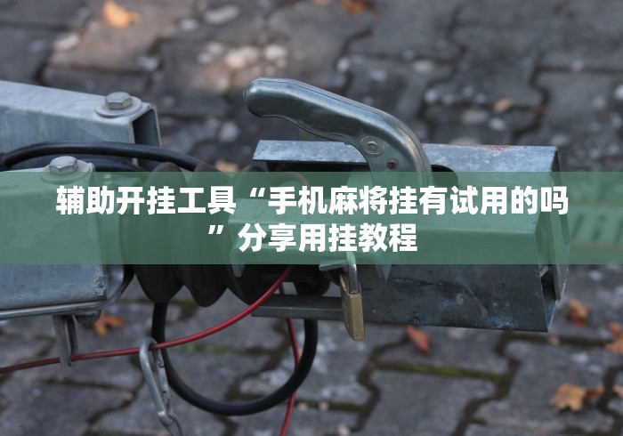 3分钟学会“微信牵手跑得快怎么拿好牌”确实可以使用辅助