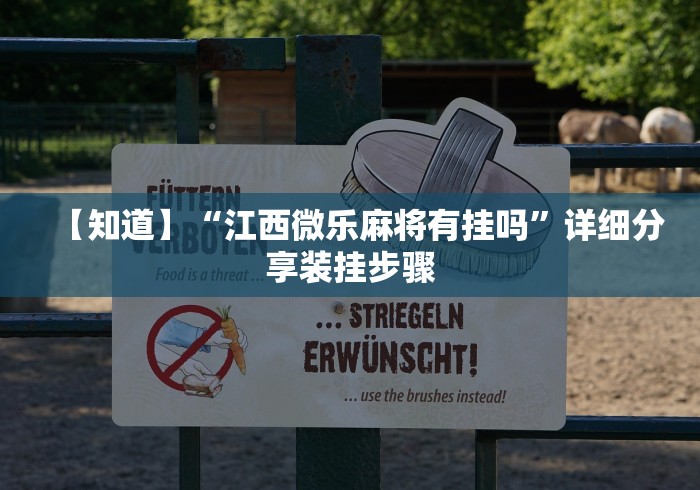 【知道】“江西微乐麻将有挂吗	”详细分享装挂步骤