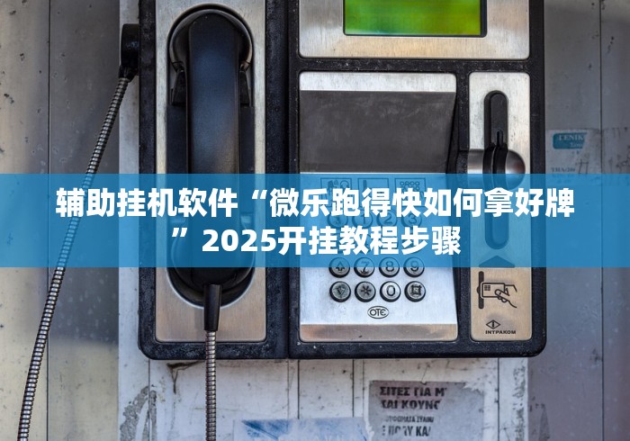 辅助挂机软件“微乐跑得快如何拿好牌”2025开挂教程步骤