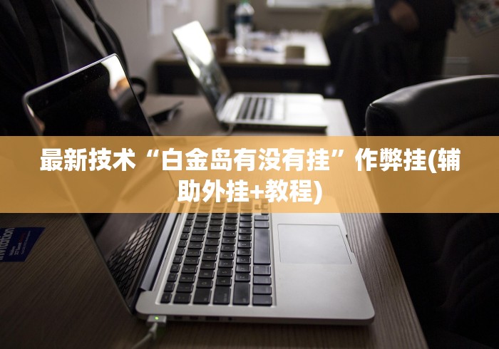 最新技术“白金岛有没有挂”作弊挂(辅助外挂+教程)