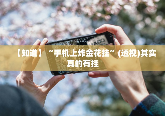 一键操作“同城游贵阳捉鸡麻将有挂吗”(透视)其实真的有挂