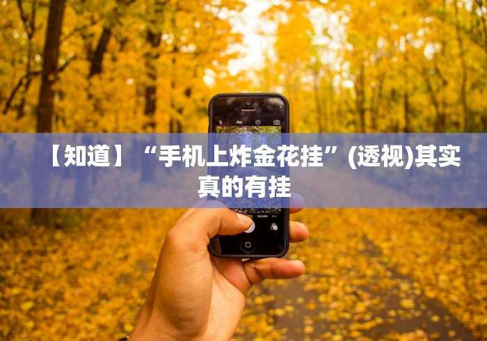 【玩家必备技术】“掼蛋技巧十句口诀”(透视)其实真的有挂
