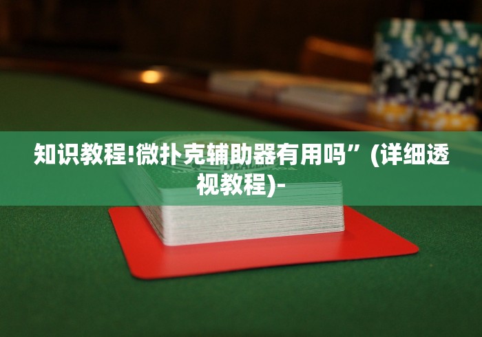 知识教程!微扑克辅助器有用吗”(详细透视教程)-