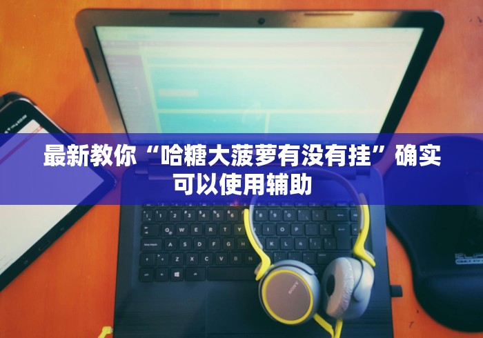 辅助最新信息“陕麻圈挂价格表图片”实测确实有挂