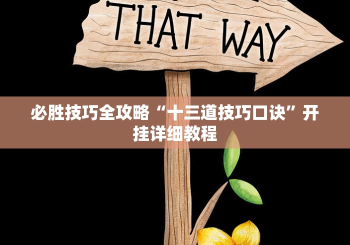 4分钟了解“微乐河北麻将怎样免费开挂”开挂(透视)辅助