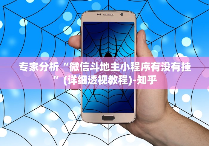 专家分析“微信斗地主小程序有没有挂	”(详细透视教程)-知乎