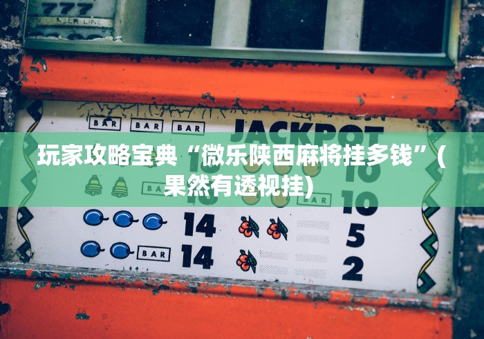 玩家攻略宝典“微乐陕西麻将挂多钱	”(果然有透视挂) 