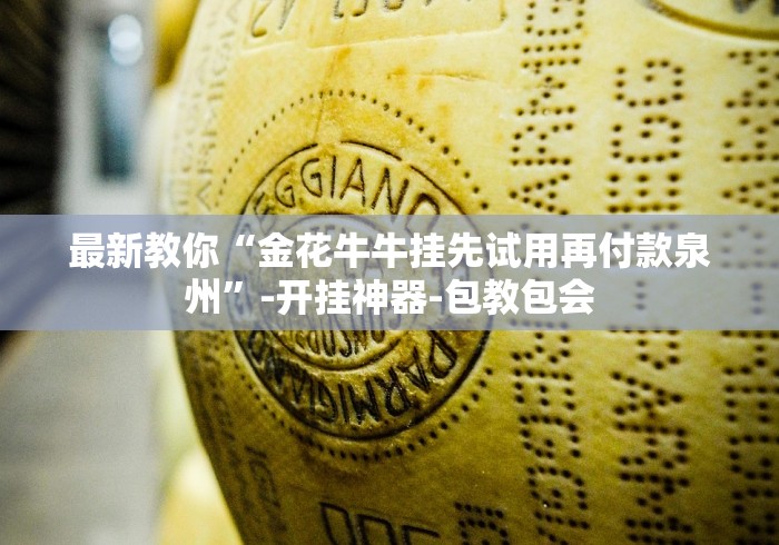 [分享]“博乐龙江填大坑透视	”开挂辅助脚本+详细开挂安装教程